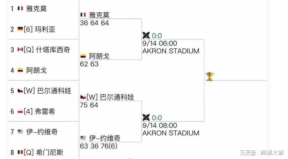 打出的网球 打出的网球