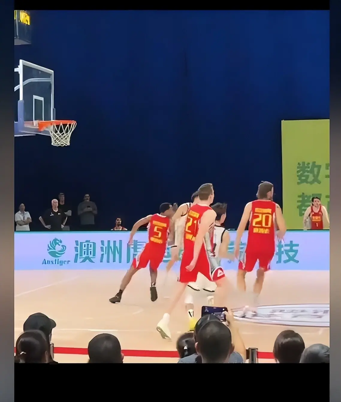 是懵了还是, 为什么会出, 墨尔本老虎