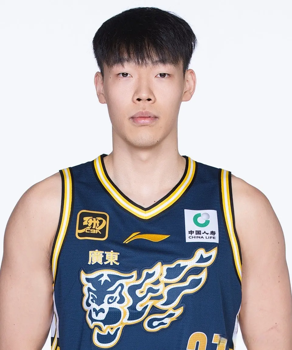 被老虎队球, 好好总结